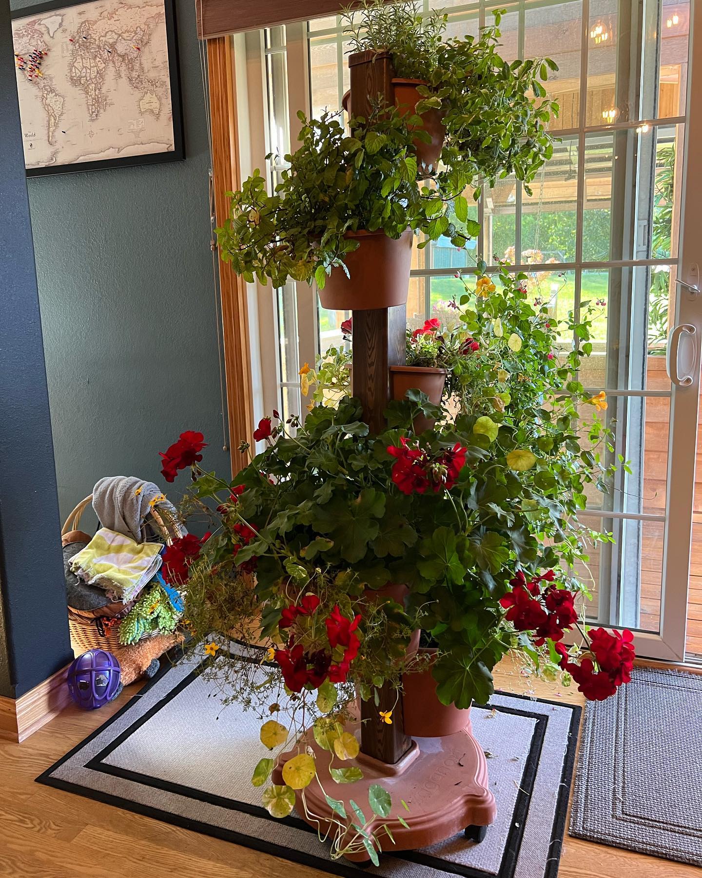 Instagram image